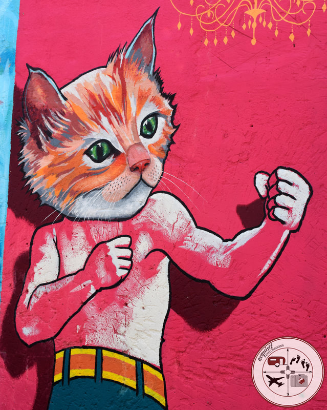 Street Art Around the World; Art Alley, Niagara Falls, NY; Boxer Cat