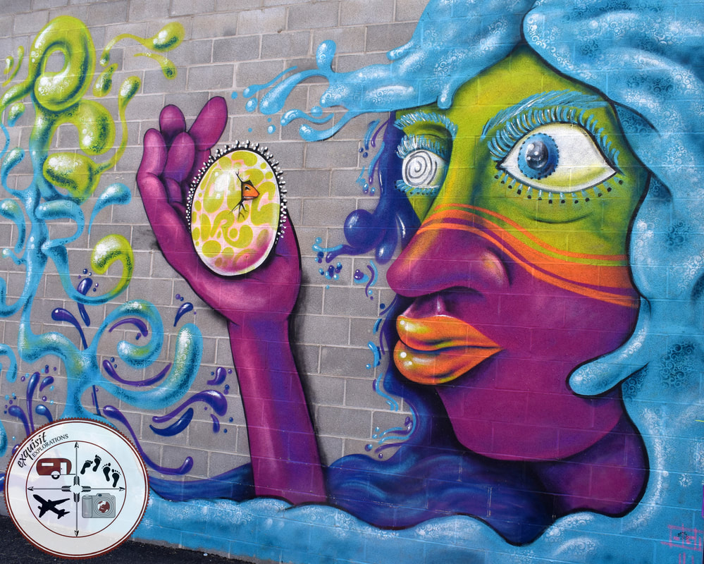 Street Art Around the World; Art Alley, Niagara Falls, NY
