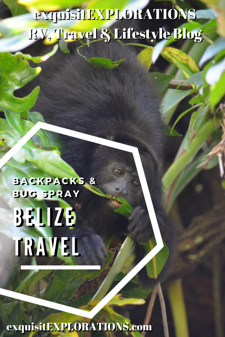 Backpacks & Bug Sprays, Camera in Hand: Belize Travel, You Better Belize It!