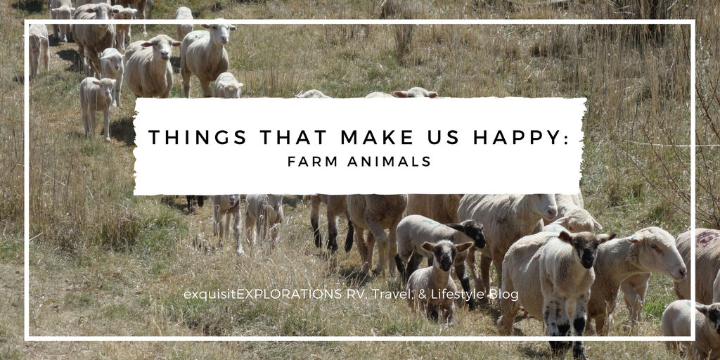 Things That Make Us Happy: Farm Animals