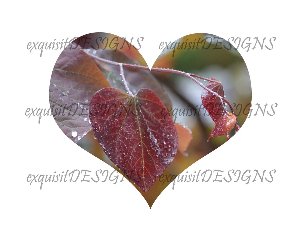 Heart Full of Leaves #photoprint #digitalprint #digitalart #exquisitDESIGNS