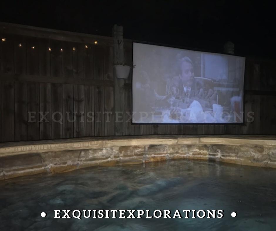 My husband recently set up an outdoor family movie night using our fence, a movie screen, and a projector. The result: family fun!