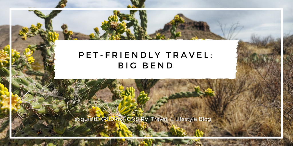 Pet-Friendly Travel in Big Bend, TX; what to do in Big Bend with a dog