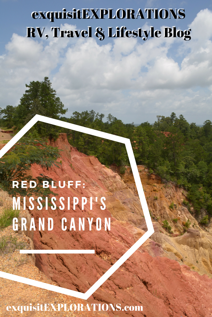 Red Bluff: Mississippi's (Secret) Grand Canyon by exquisitEXPLORATIONS