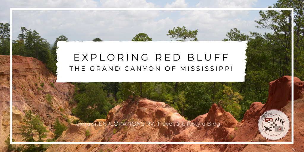 Red Bluff, the Grand Canyon of Mississippi #hiddengem #naturalwonder #foxworthms