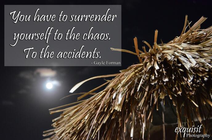 Surrender to the Chaos, Gayle Forman, Travel Quotes, Travel Sayings