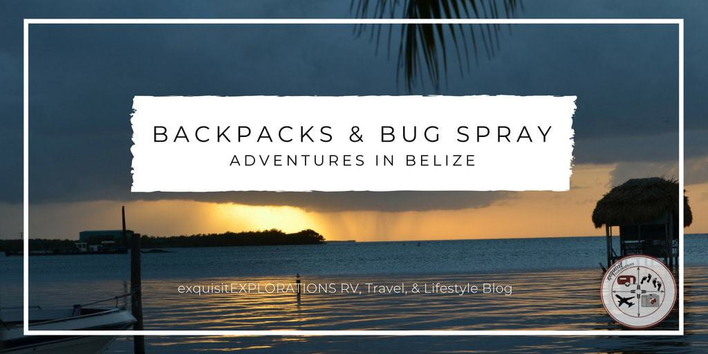 backpacking, bugspray, what to pack, belize travel tips, monkeys, ferry, caye caulker, community baboon sanctuary