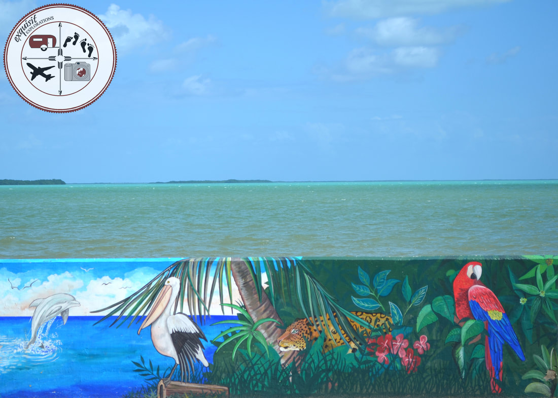 Belize City, Belize; Street Art Around the World; colorful murals, dolphin, pelican, jaguar, parrot, caribbean sea