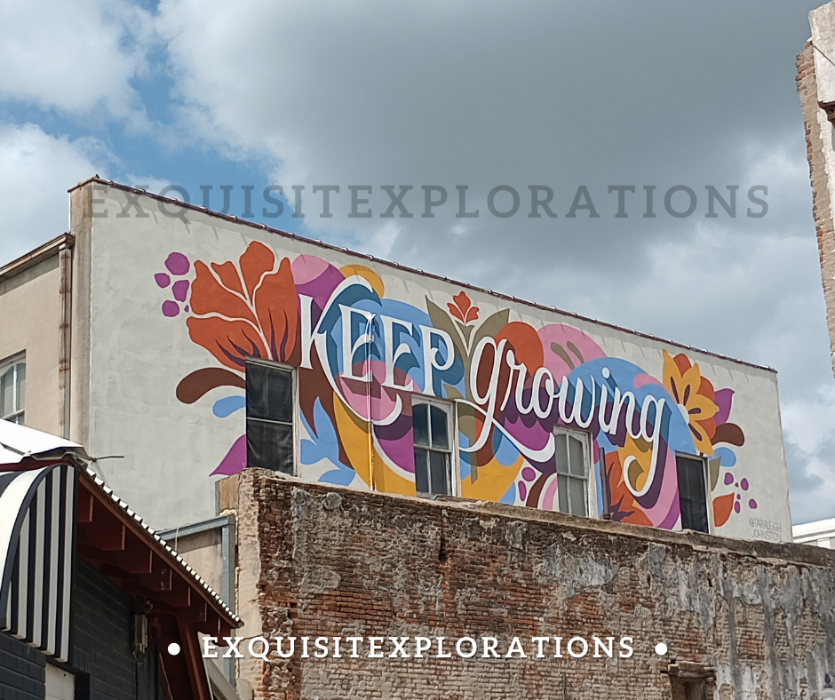 Things to Do and Places to Eat in Brenham, TX; small Texas towns you should visit; exquisitEXPLORATIONS Travel and Lifestyle Blog; murals; street art