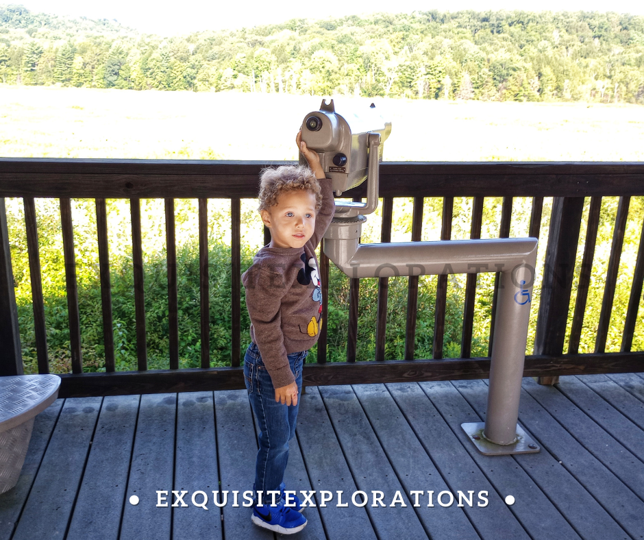 Things to do in Meadville, PA; Deer Run Trail; exquisitEXPLORATIONS Travel Blog