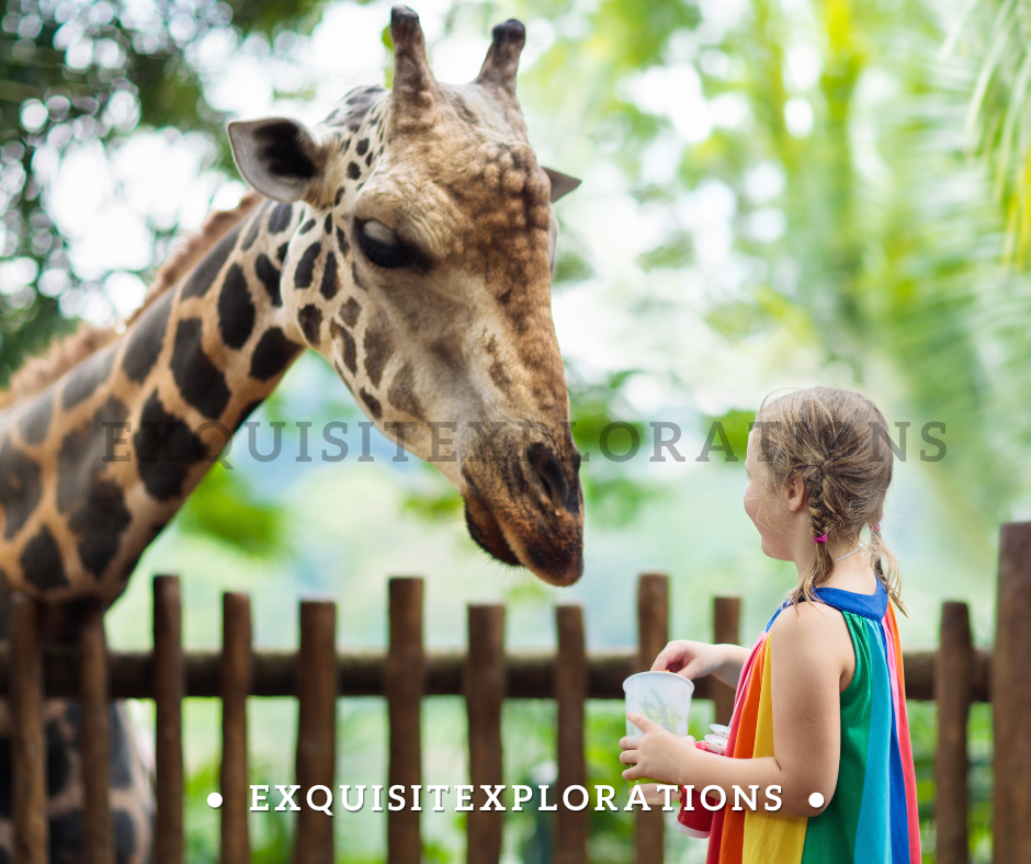 Turning Family Vacations Into Learning Opportunities for Kids by exquisitEXPLORATIONS Travel and Lifestyle Blog
