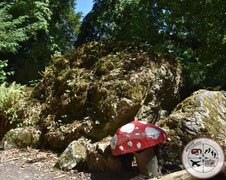 Fairy Glen, Rock Close, Blarney Castle, Co. Cork, Ireland; Travel Blog