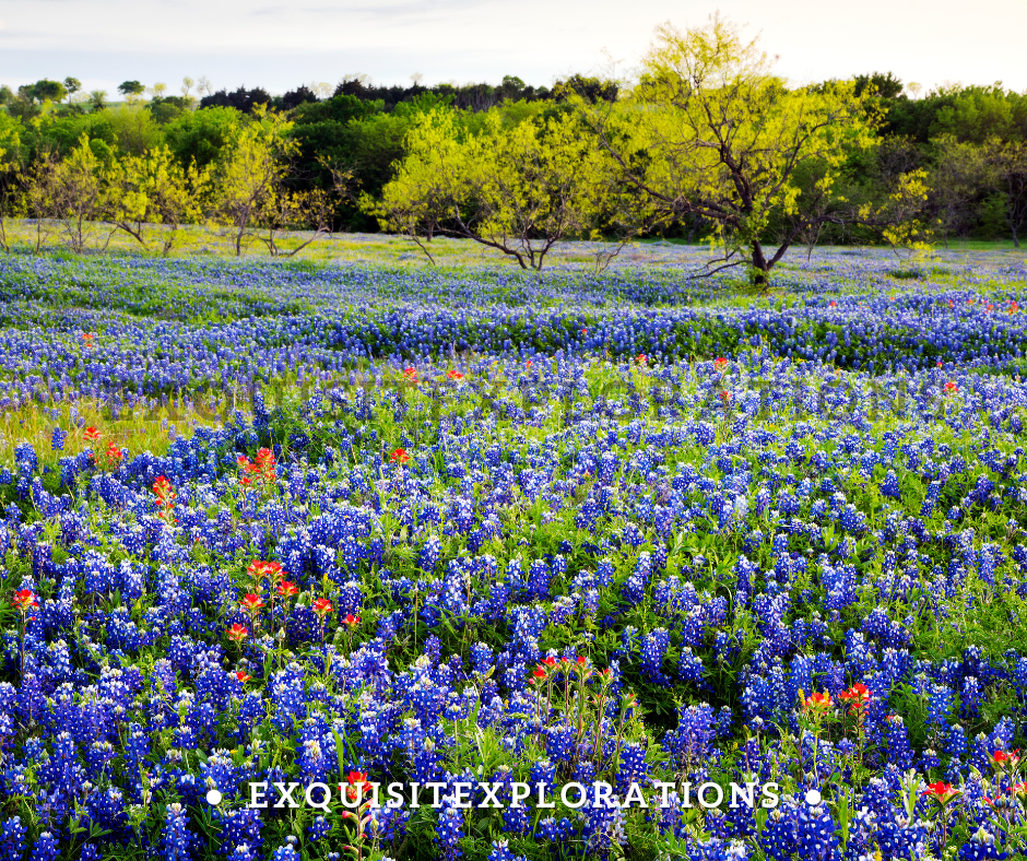 14 Underrated Travel Destinations Worldwide; Texas Hill Country, USA; exquisitEXPLORATIONS
