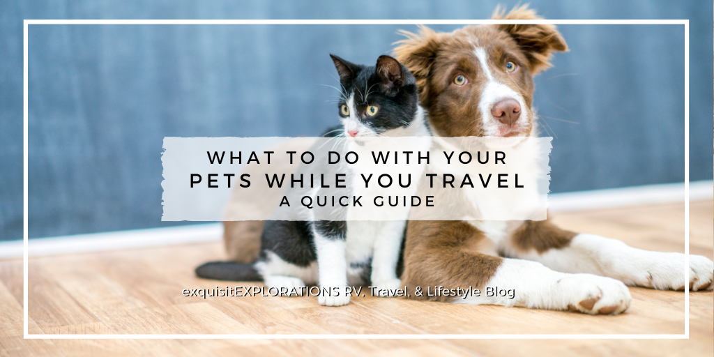 What to Do With Your Pets While You Travel: A Quick Guide by exquisitEXPLORATIONS Travel and Lifestyle Blog