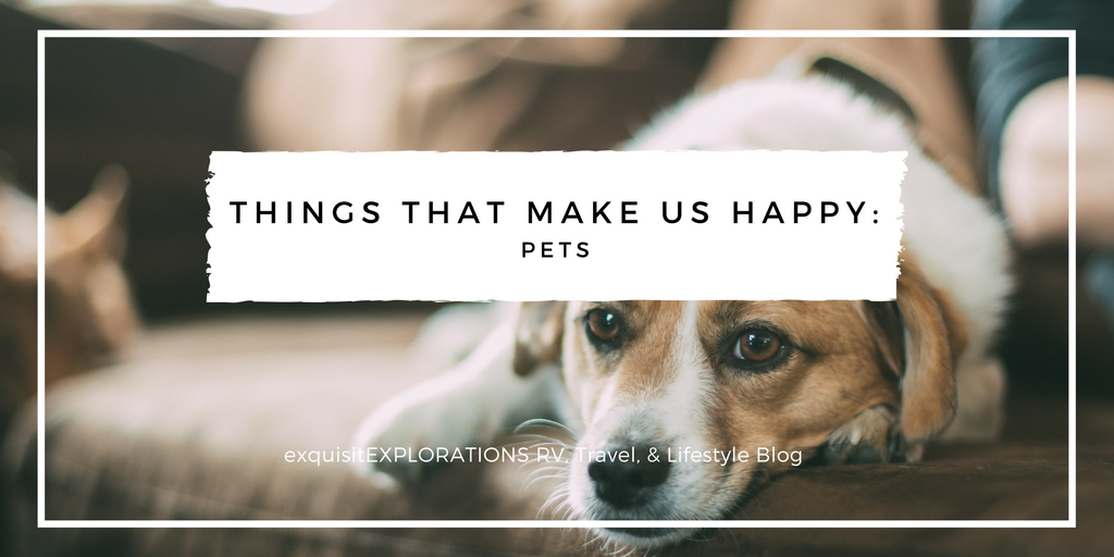 Things That Make Us Happy: Pets #dogs #cats #animallovers