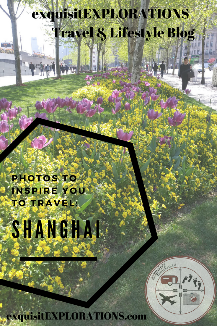 Photos to Inspire You to Travel: Shanghai, China; Flowers in Shanghai