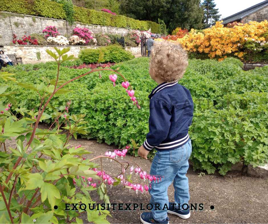 Plan Travel to Kid-Friendly Destinations; Travel Before and After Kids; Glasgow, Scotland; gardens