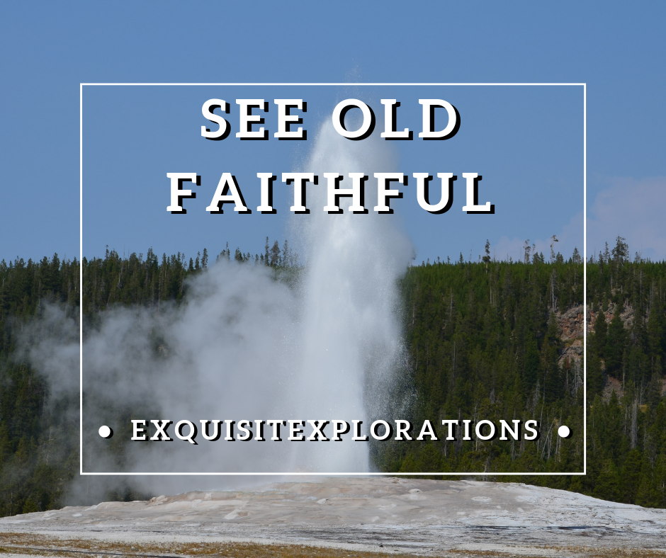 Tips for Visiting Yellowstone: watch Old Faithful erupt, exquisitEXPLORATIONS Travel Blog
