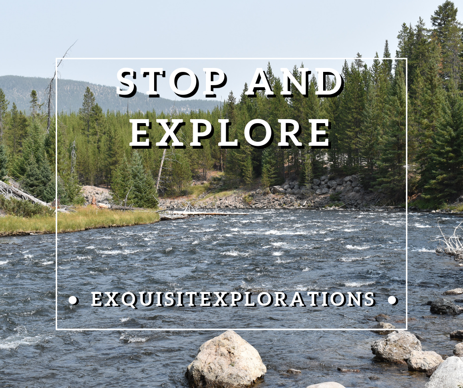 Tips for Visiting Yellowstone: Stop at the random pull-offs, get out, and explore on foot, exquisitEXPLORATIONS Travel Blog